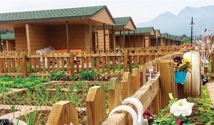 Hobi bahçesi furyasına sert fren