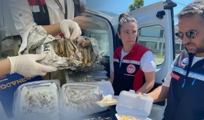 İzmir'de 7 ton kaçak midye ele geçirildi