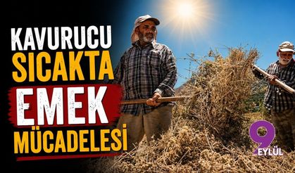 Kavurucu sıcakta emek mücadelesi