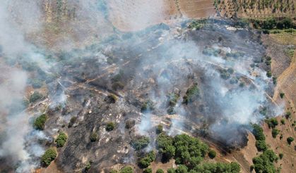 Manisa'da 15 dönüm alan küle döndü