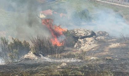 Manisa maki yangınında 30 dönüm alan zarar gördü