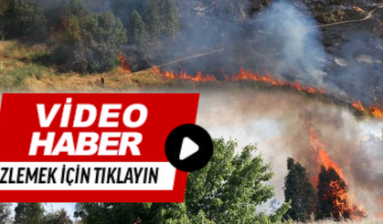 Aydın'da korkutan yangın