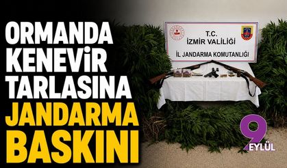 Ormanlık alana uyuşturucu ekmişler!