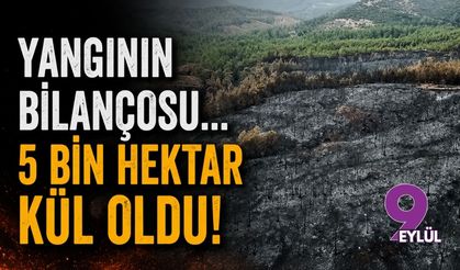 Muğla'da yangının bilançosu... 5 bin hektar kül oldu!