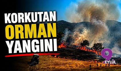 Balıkesir'de korkutan orman yangını!