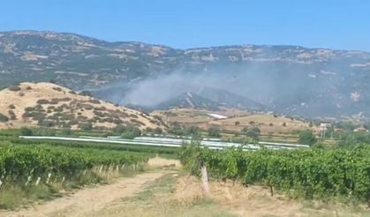 Manisa'da çıkan yangınlar kontrol altına alındı