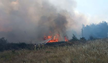 Muğla'da orman yangınıyla ilgili 1 kişi gözaltına alındı