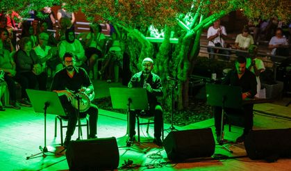 Zeytin ağacının altında 'Gece Makamı' ezgileri