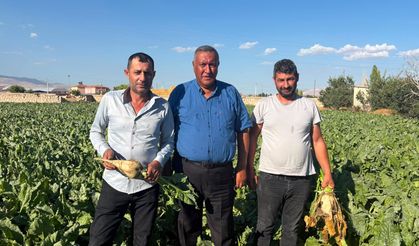 Borç 1,5 trilyona dayandı: Çiftçi tarladan bankaya koşuyor