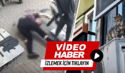 Yavru kedi için can verdi!