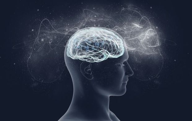 Ehliyette IQ Testi Başlıyor mu? İşte Merak Edilenler!