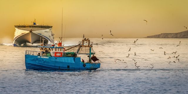 Küçük ölçekli balıkçı desteklemeleri ne zaman başlayacak?