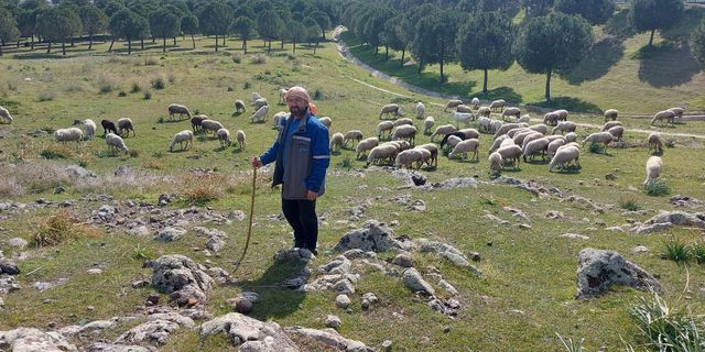 Bornova'nın Don Kişot Çobanı