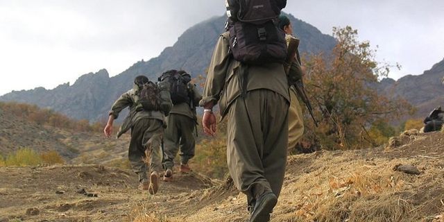 Örgütten kaçan PKK'lı teslim oldu