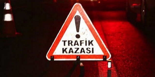 Aydın'da devrilen minibüsün sürücüsü yaralandı