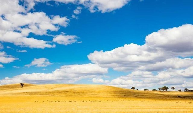 Türkiye’nin ovaları nelerdir?
