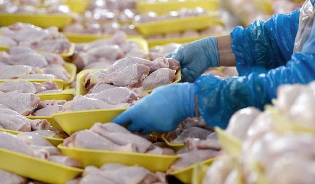 Kanatlı ete ihracat yasağı fiyat artışlarına çözüm değil