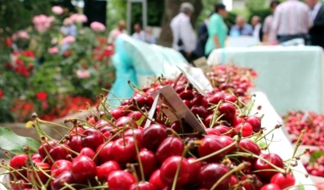 Ödemiş'te Kiraz ve Fidancılık Festivali düzenlendi