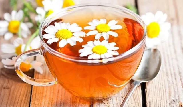 Papatya çayının faydaları nelerdir? Papatya çayı ne işe yarar? Tüm faydaları