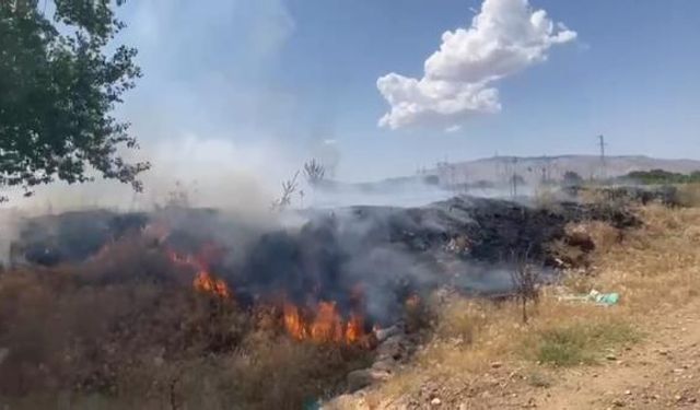 Elazığ’da örtü yangını; 100 hektar arazi zarar gördü