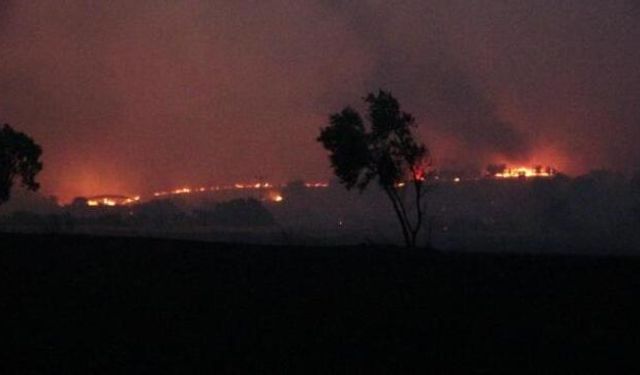 Çanakkale'de orman yangını