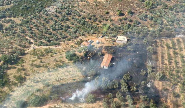 İzmir'de tarım arazisinde çıkan yangın kontrol altına alındı