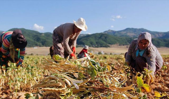Çiftçilere Sevindirici Haber! 7 Yeni Destek Ödemesi Hesaplara Yatırıldı!