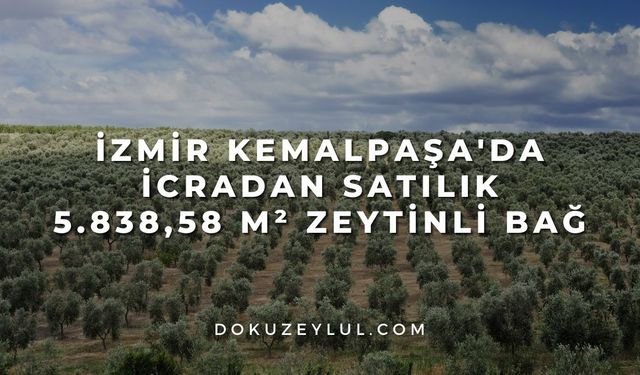 İzmir Kemalpaşa'da icradan satılık 5.838,58 m² zeytinli bağ
