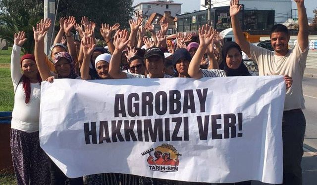 Agrobay İşçilerinin Davası Ertelendi: Hak Arama Mücadelesi Devam Ediyor