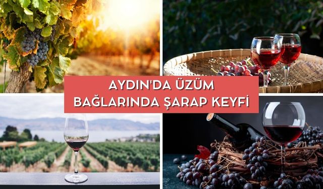 Aydın'da Üzüm Bağlarında Şarap Keyfi