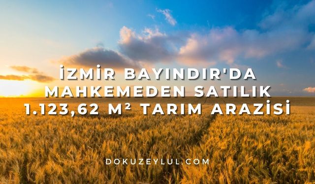 İzmir Bayındır'da mahkemeden satılık 1.123,62 m² tarım arazisi