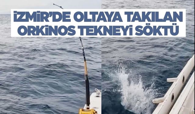 İzmir Seferihisar'da oltaya takılan orkinos tekneyi söktü