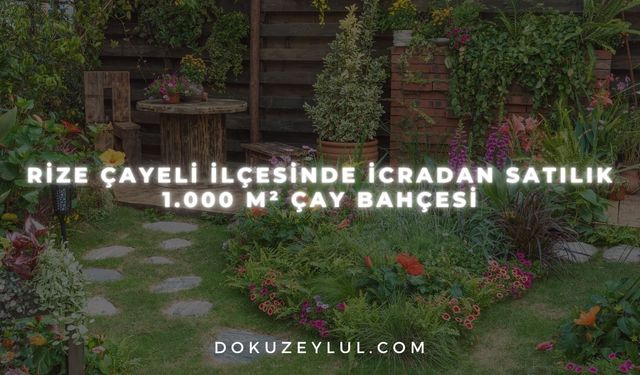 Rize Çayeli ilçesinde icradan satılık 1.000 m² çay bahçesi