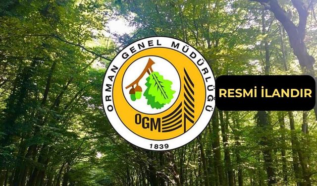 Bayındır Orman İşletme orman yolu yaptıracak