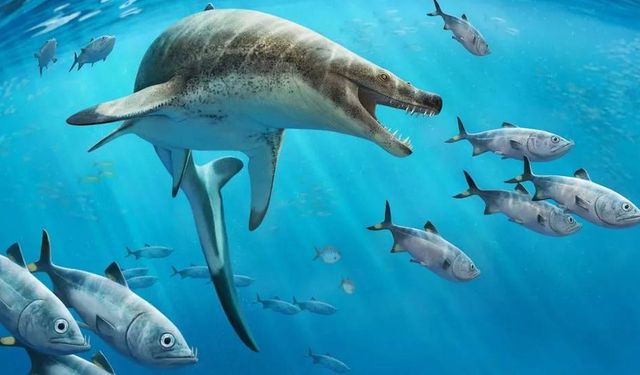 66 milyon yıl önce yaşamış dev deniz kertenkelesi türü keşfedildi