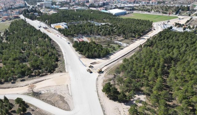 4 şeritli yol Türk bayrakları ile donatılacak