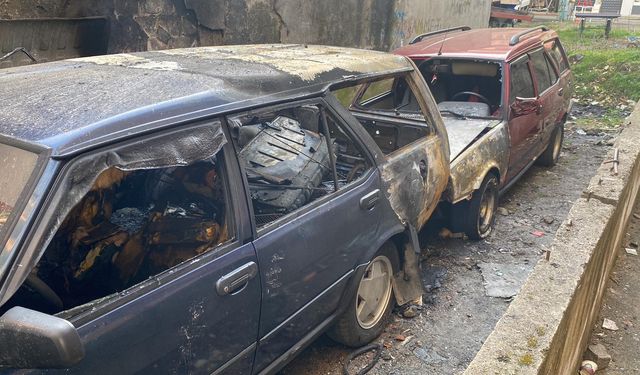 Park halindeki iki otomobil yandı