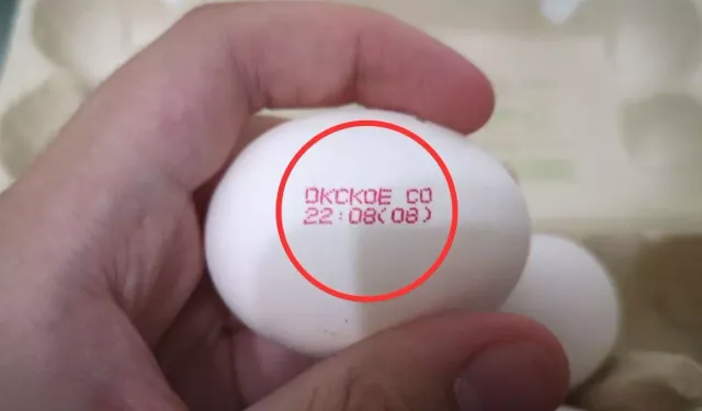 Yumurta kodları ne anlatıyor? Market rafındaki gizemi çözüyoruz!