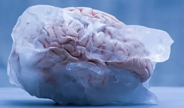 Beyin donması nedir, belirtileri nelerdir? Beyin donması neden olur?