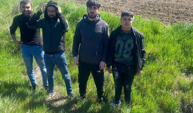 Edirne'de dört göçmen yakalandı!