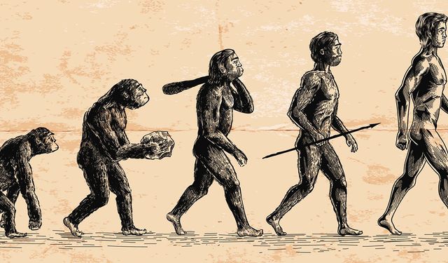 X Kuşağında Evrim Algısı: Bilim Okuryazarlığı Ne Kadar Önemli?