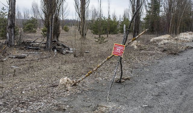 Rusya ve Belarus sınırına savunma hattı çağrısı