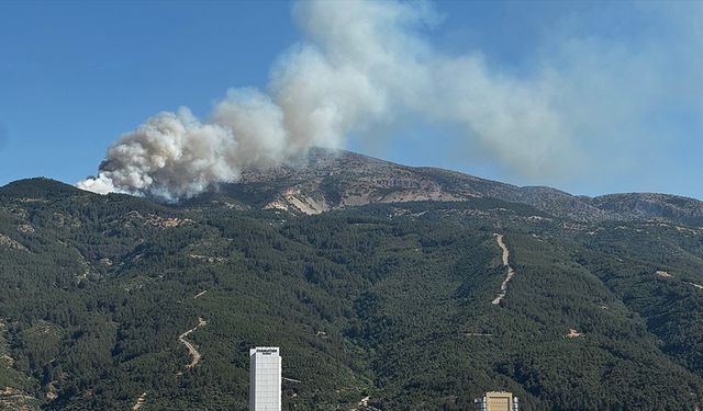 Spil Dağı'ndaki yangın söndürüldü