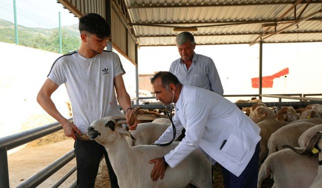 Karşıyaka'nın kurban pazarında hazırlıklar tamam