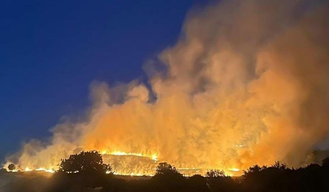 Seferihisar'daki orman yangını, üç saatte söndürüldü