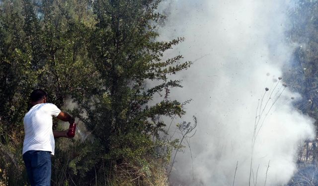 Selçuk'ta yeni yangın!