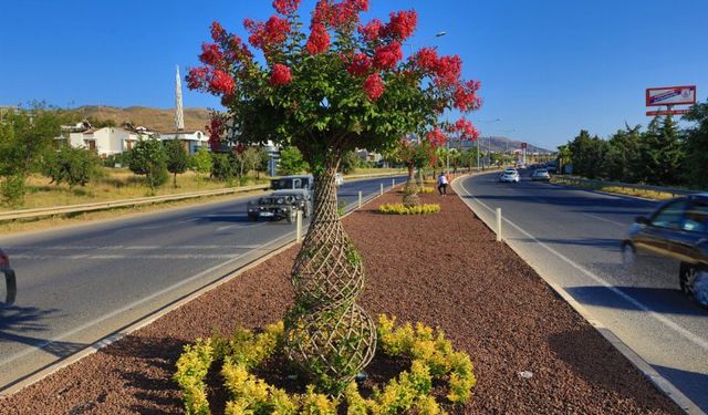 İzmir Güzelbahçe’nin ‘Oyaları’ çiçeklendi