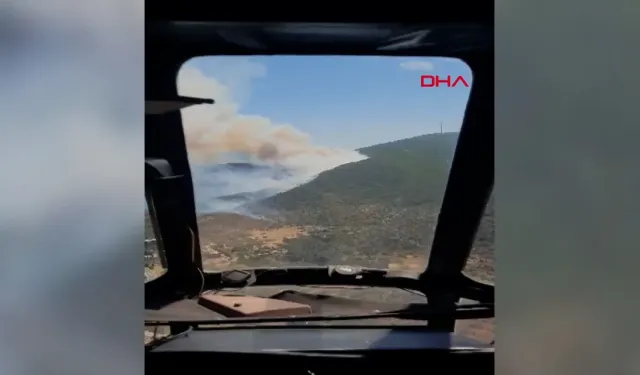 Urla'da orman yangını çıktı