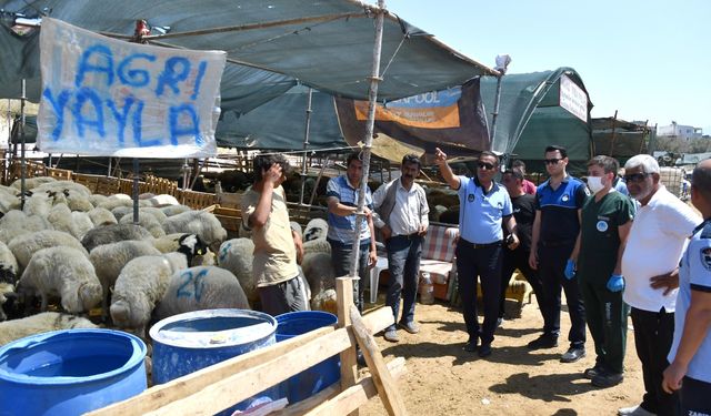 Karabağlar'da Kurban Bayramı öncesi sıkı denetim