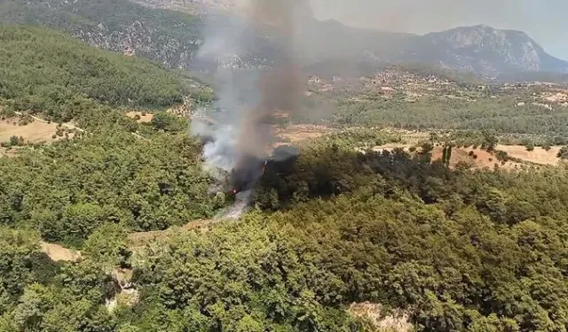 Muğla'nın Milas ilçesinde orman yangını çıktı